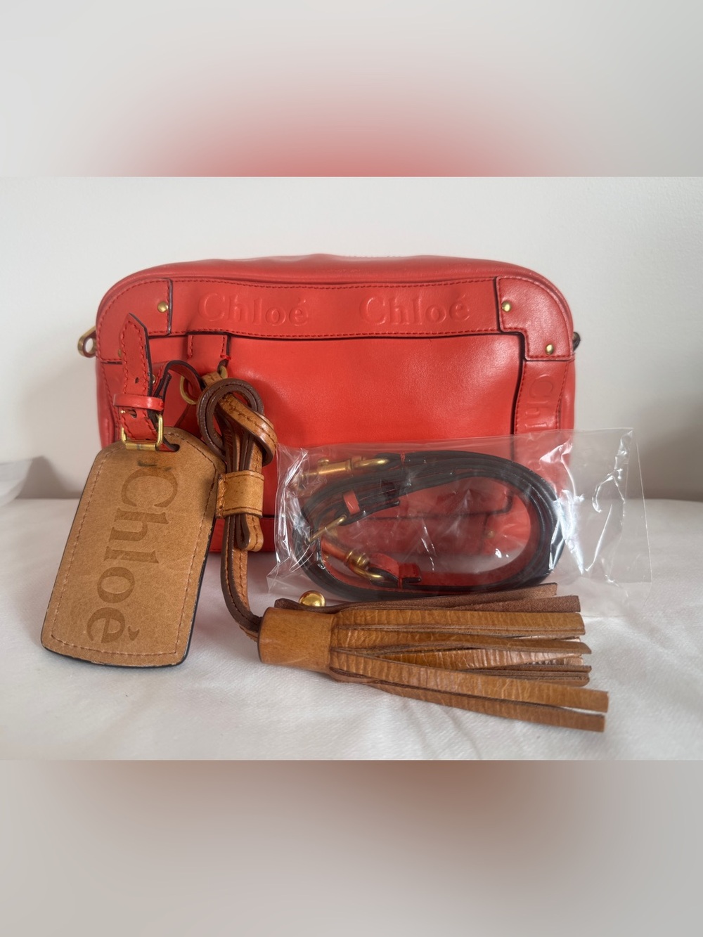 CHLOE Eden Leather Camera Bag